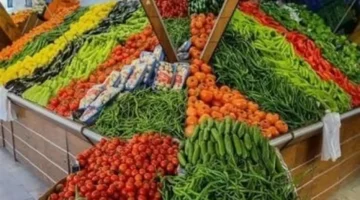 تحديث أسعار الخضراوات.. كم سجلت كرتونة الطماطم بأسواق القليوبية اليوم الأحد؟